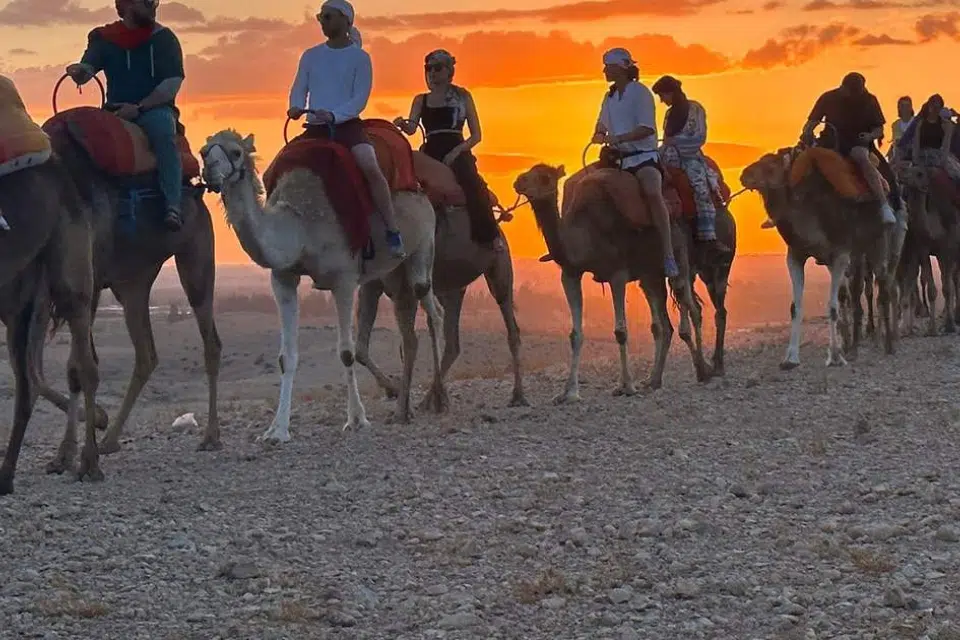 Pack : Quad, Dromadaire et Dîner Spectacle au Désert d’Agafay: Privée