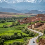 day trips from marrakech
